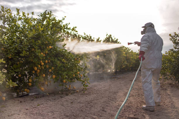 Best Cockroach Control Services  in Justin, TX