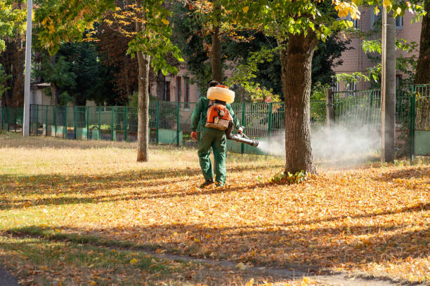 Reliable Justin, TX Pest Control Solutions