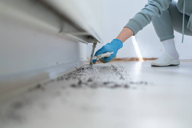 Best Affordable Pest Control Services  in Justin, TX